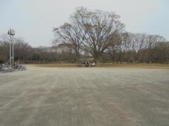 中央公園