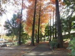 中央公園
