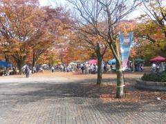中央公園