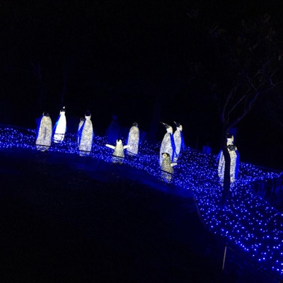 ホテバンク るり渓温泉こぶし荘花あかり 南丹市園部町大河内