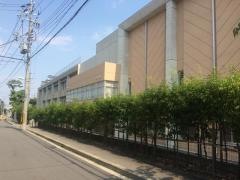 精道小学校