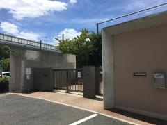 精道小学校