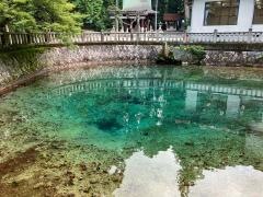 別府弁天池