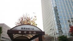 「慈恵会医大前」バス停留所