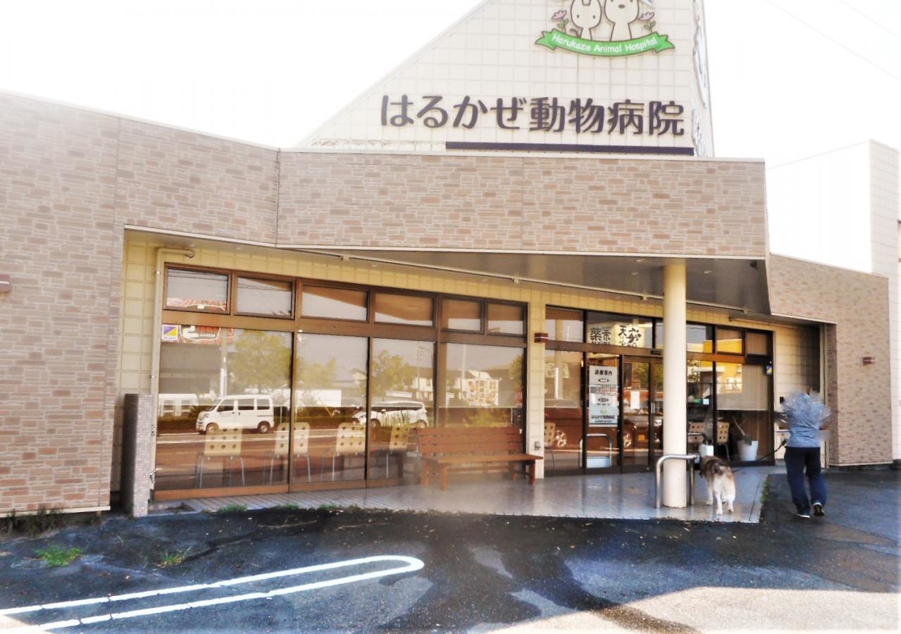 正面の外観