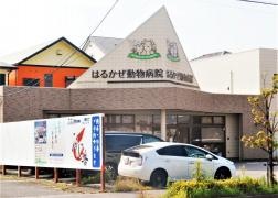 はるかぜ動物病院