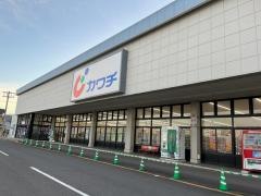 カワチ薬品　古川店