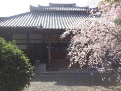 教宗寺