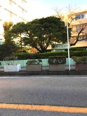 巻石堂病院