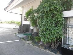 橋本そば店
