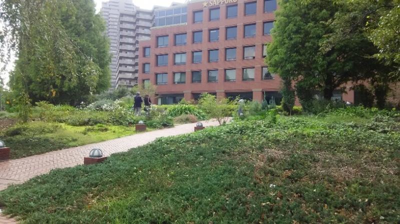 庭園