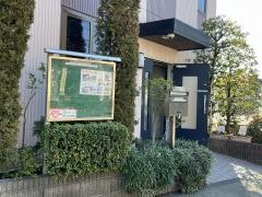 ふきのとう