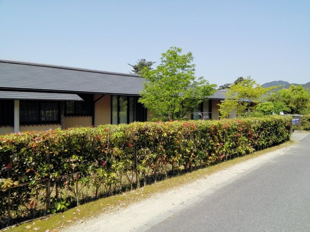 ぼだいじ