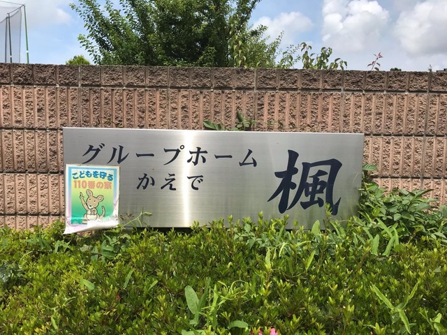 楓