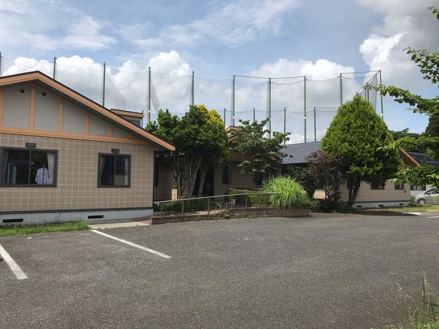 楓