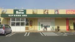Ｓｅｒｉａ　古賀店