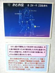スターランドＡＩＲＡ