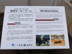 隠岐モーモードーム