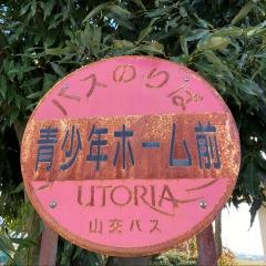 「青少年ホーム前」バス停留所