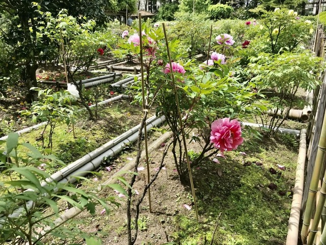 施設写真7