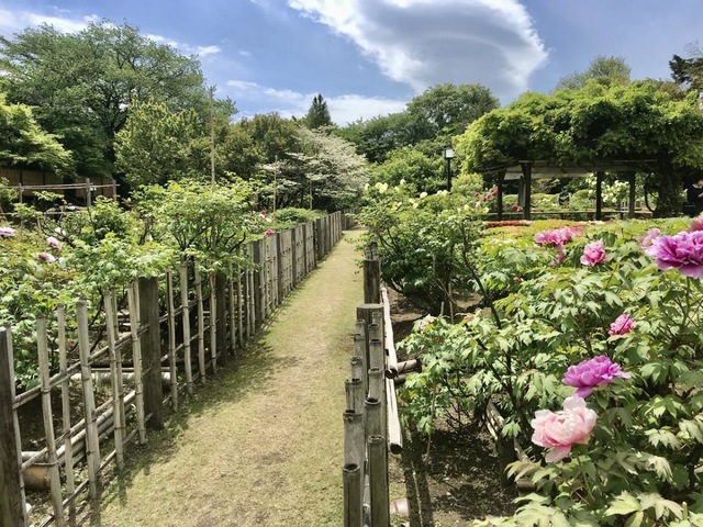 施設写真6