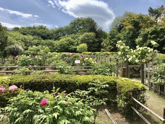 施設写真4