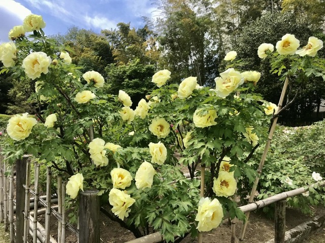 施設写真3
