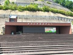 宝仙湖展望台