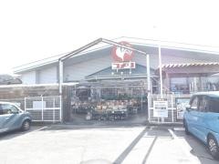 コメリハード＆グリーン　市川店