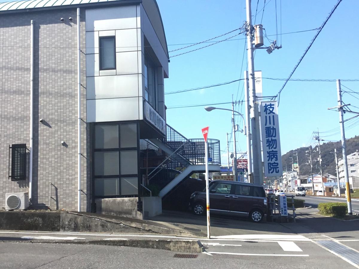 枝川動物病院