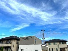 アリーナ薬局　ひまわり店