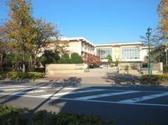 千葉県立柏の葉高等学校