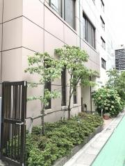 八丁堀保育園