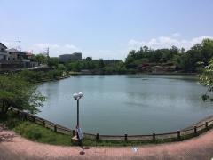 中山田池公園