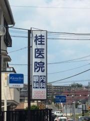 桂内科