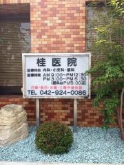 桂内科