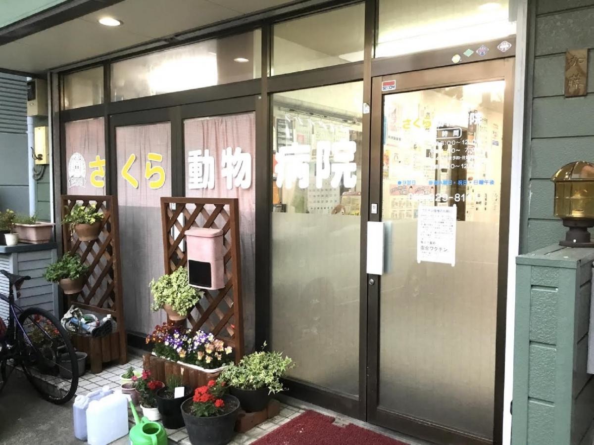 玄関入り口