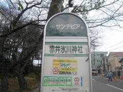「赤井氷川神社」バス停留所