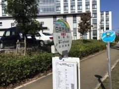 「白井市役所」バス停留所