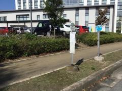 「白井市役所」バス停留所