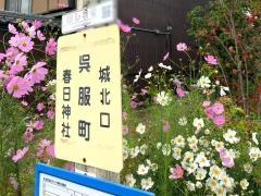 「篠山呉服町」バス停留所