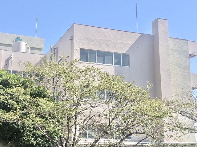 シーサイド