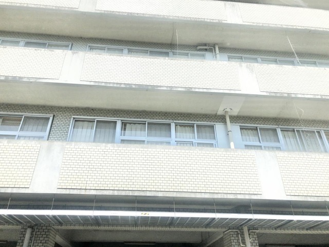 シーサイド
