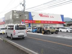 ドラッグストアウェルネス東出雲店