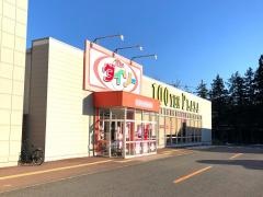 ザ・ダイソー　ビックハウス金ヶ崎店