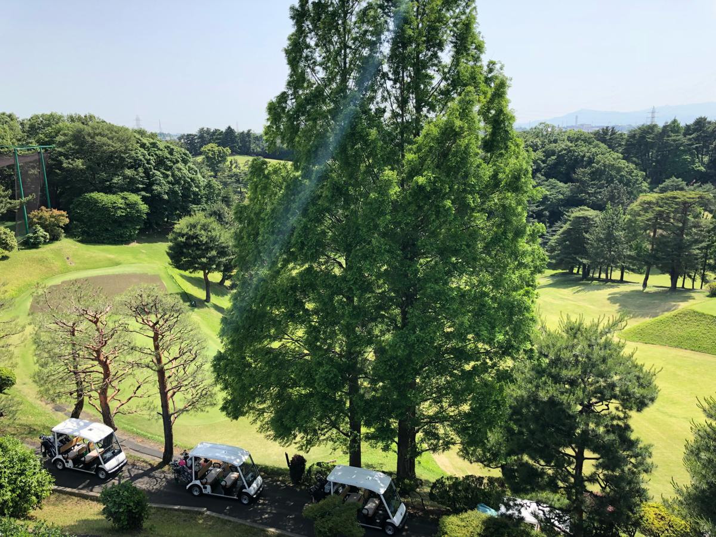 川崎 国際 生田 緑地 ゴルフ 場