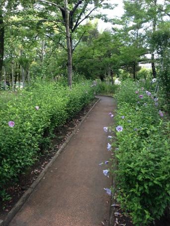 施設写真26