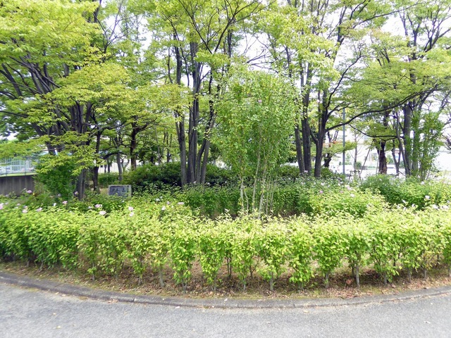施設写真18