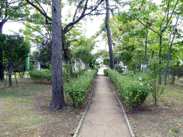 施設写真15