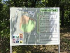 北公園